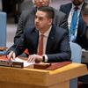 El Ministro de Asuntos Exteriores de Malta, Ian Borg, presidente en ejercicio de la Organización para la Seguridad y la Cooperación en Europa, informa a los miembros del Consejo de Seguridad de la ONU.