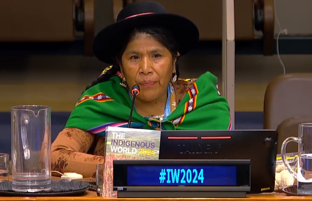 Toribia Lero Quispe, mtetezi wa haki za binadamu kutoka Bolivia akiwa kwenye uzinduzi wa IW2024.
