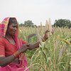 भारत के तेलंगाना राज्य की एक किसान. आजीविका की तलाश में पुरुषों के विदेश प्रवासन से घर का बोझ महिलाओं के कंधों पर आ पड़ता है.