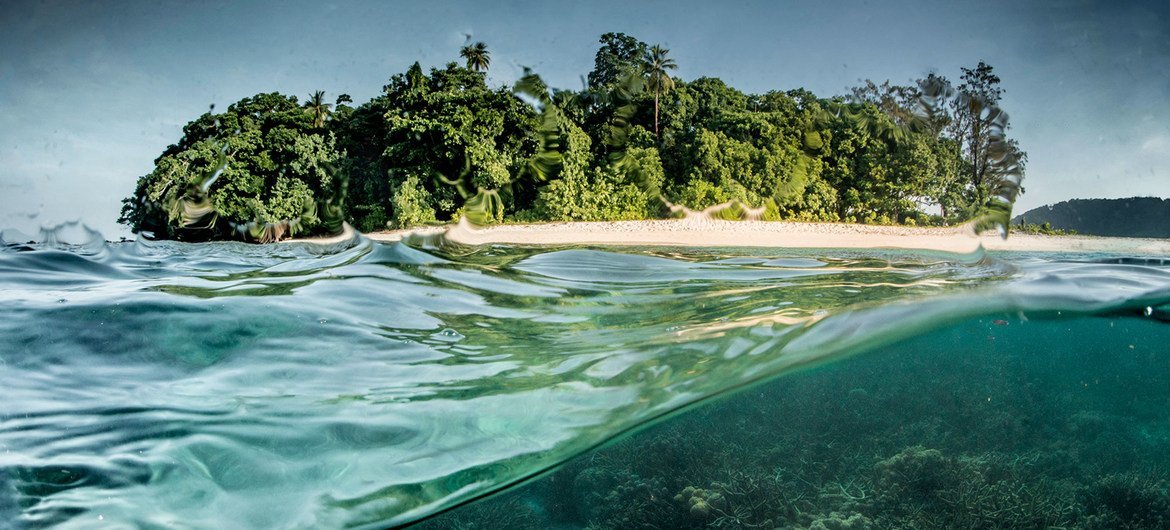 Um recife de coral em Papua Nova Guiné