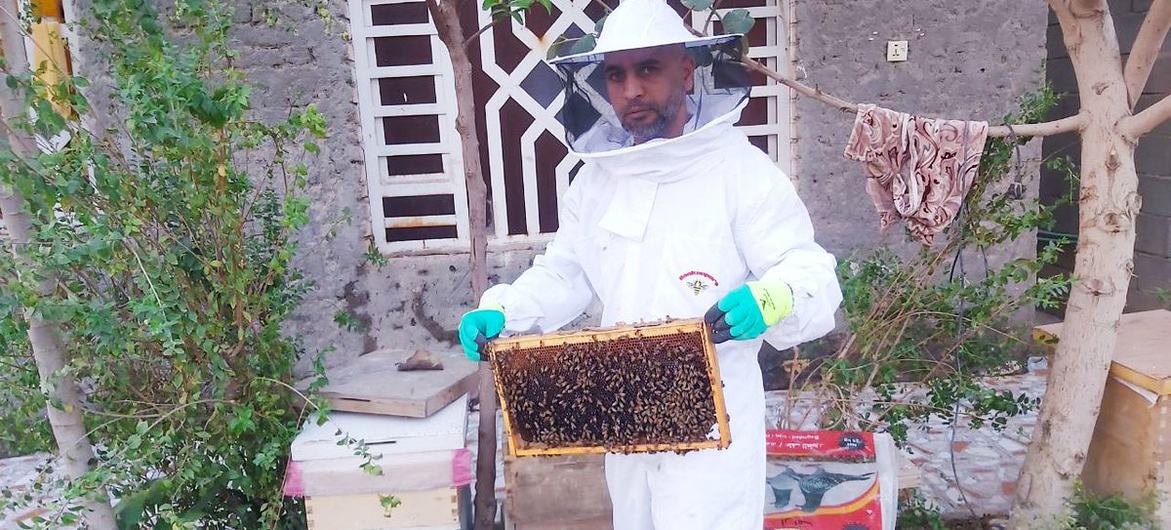 Ziad Sa'ad, apicultor de Basora (Irak), está sensibilizando a su comunidad sobre la importancia de la seguridad en el trabajo.
