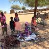 يُتوقع أن تزداد حدة انعدام الأمن الغذائي في السودان خلال الأشهر المقبلة بسبب الصراع.