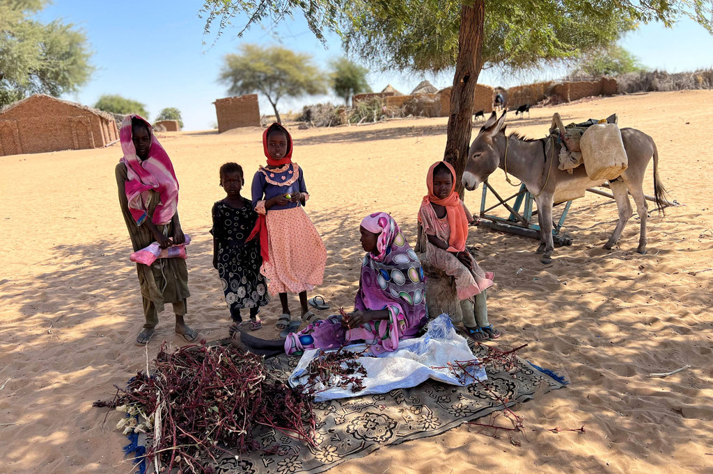 مجموعة من النساء والأطفال الأفارقة في قرية سودانية ريفية. تجلس إحدى النساء على حصيرة وهي تفرز النباتات المجففة بينما تجلس أخرى بالقرب منها، ويقف الأطفال حولهم ويظهر حمار في الخلفية.