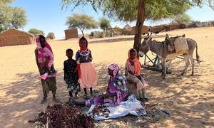 The number of people experiencing extreme hunger has surged in 2024. Pictured here, a displaced family in Sudan.