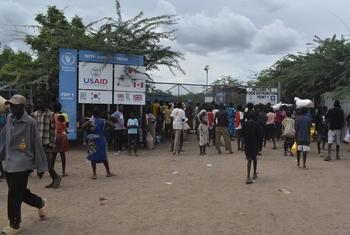 media:entermedia_image:61d39f00-9ec0-4c09-9594-753c60b228df