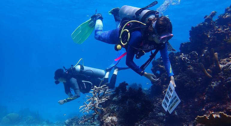 Biólogas Maria Fernanda Maya e Mariana Gnecco, da ONG Blue Indigo, avaliam a saúde do recife de corais da Ilha de San Andrés.