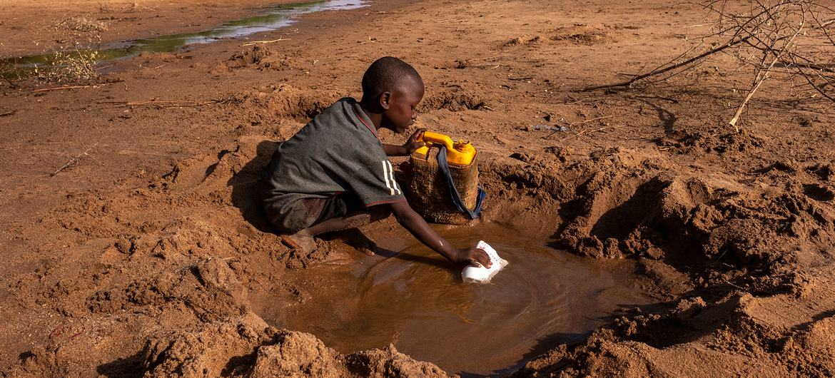 Un garçon collecte le peu d'eau qu'il trouve dans une rivière asséchée en raison de la sécheresse à Dollow, en Somalie.
