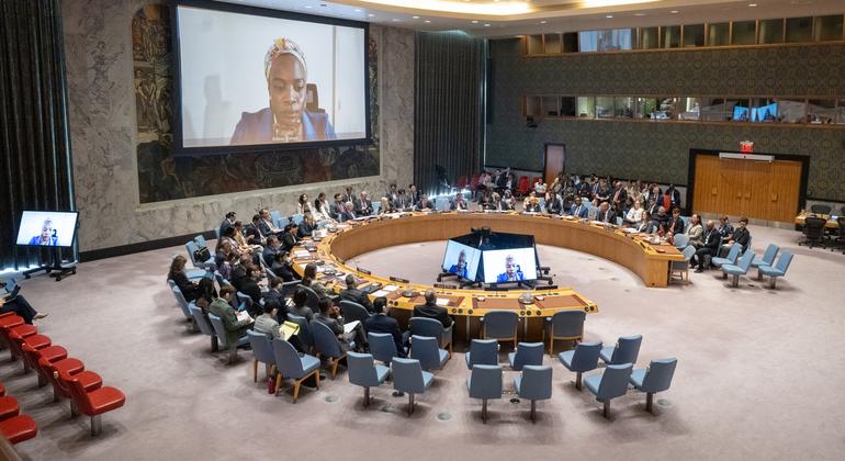 联合国安理会关于妇女、和平与安全问题的会议全景。