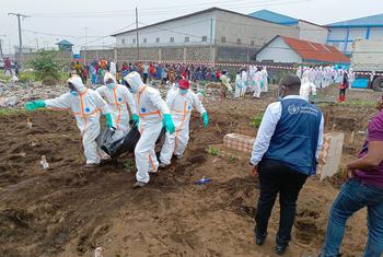 2025年2月初，刚果民主共和国东部戈马陷落于“3·23运动”叛军后，世界卫生组织人员协助进行遗体安葬。