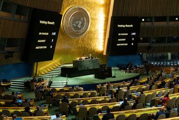 Annalena Baerbock and Kenji Nakano at the dais during a vote on Palestine at the 80th UN General Assembly.