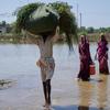 قرويون في منطقة خيربور ميرس بباكستان في إقليم السند يعبرون الأراضي التي غمرتها المياه للوصول إلى منازلهم.