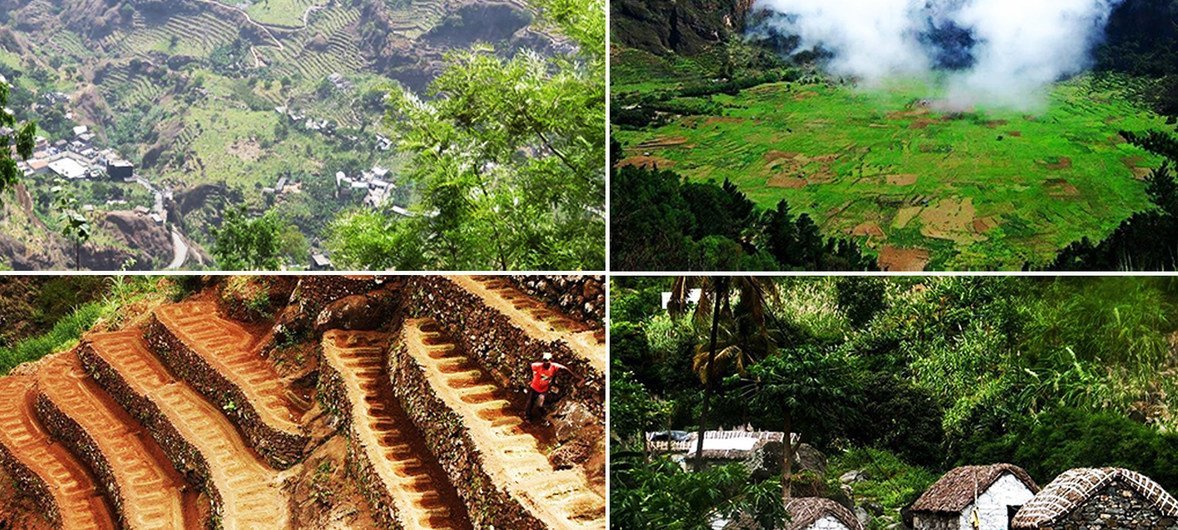 Instituto do Património Cultural de Cabo Verde é o vencedor do Prémio Internacional Melina Mercouri da Unesco