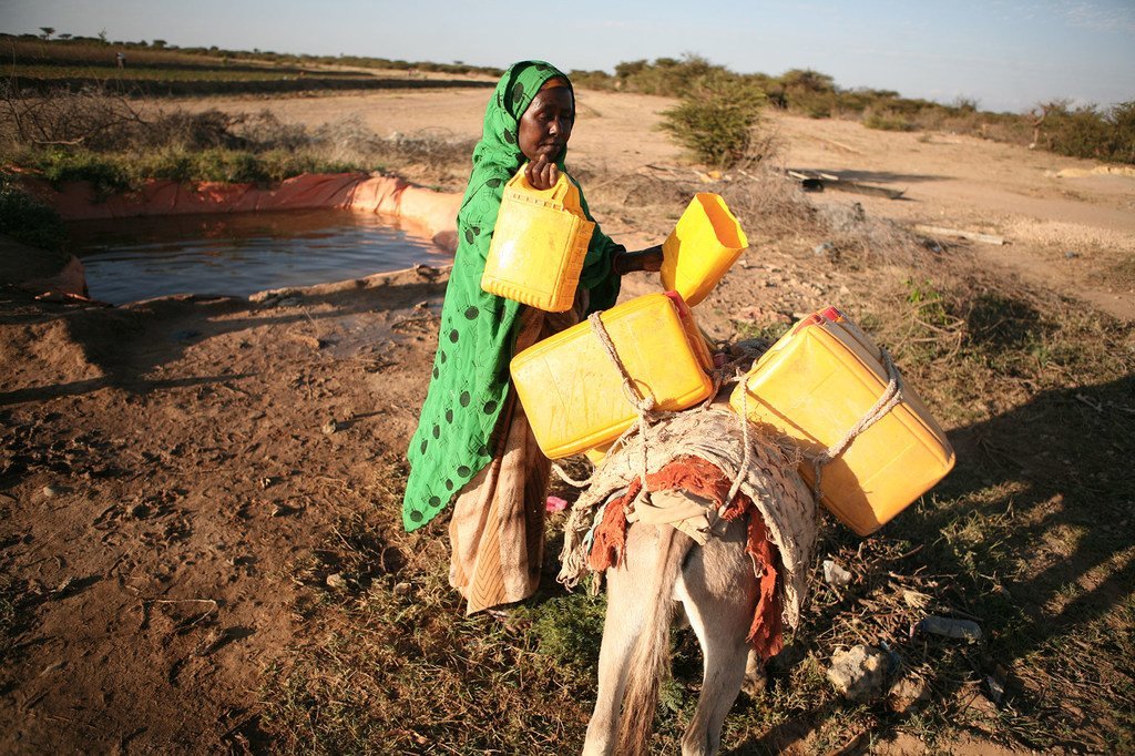 En raison de la sécheresse qui sévit en Somalie, plus de deux millions de personnes sont confrontées à de graves pénuries de nourriture et d'eau.