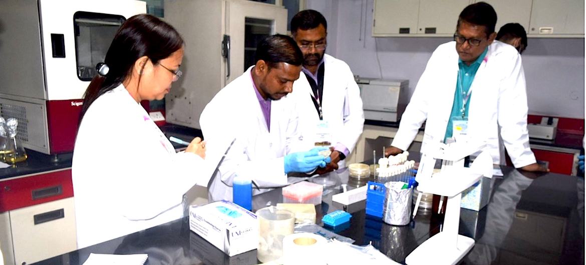 Cientistas em um laboratório do NBFGR Lucknow realizam treinamento prático sobre testes de suscetibilidade antimicrobiana durante uma iniciativa do INFAAR.