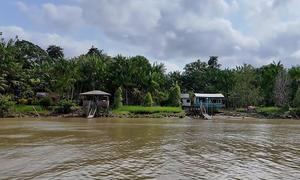 Pará, Brasil. En la región donde el río Amazonas se encuentra con el océano Atlántico, hay innumerables bellezas naturales que admirar, pero también silenciosos riesgos climáticos que se están agravando.