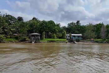 Pará, Brasil. En la región donde el río Amazonas se encuentra con el océano Atlántico, hay innumerables bellezas naturales que admirar, pero también silenciosos riesgos climáticos que se están agravando.