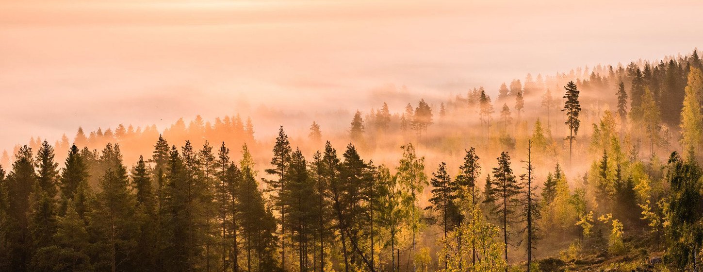 Lever de soleil en septembre à Alajärvi, en Finlande.