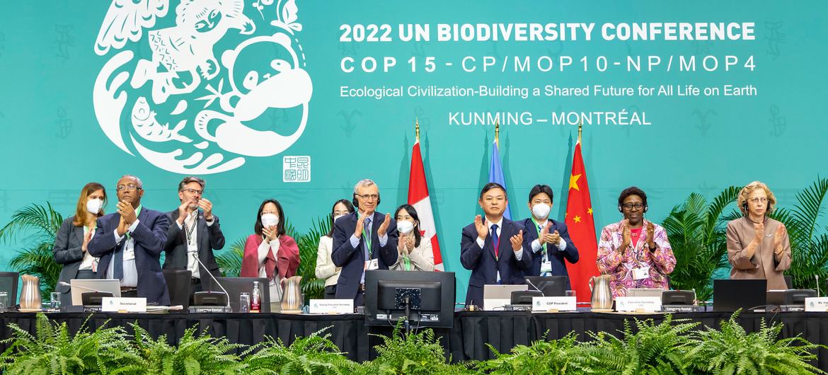 联合国第15届生物多样性大会通过了“昆明-蒙特利尔全球生物多样性框架”，其中包括了到2030年要实现的四大目标和23个具体目标。