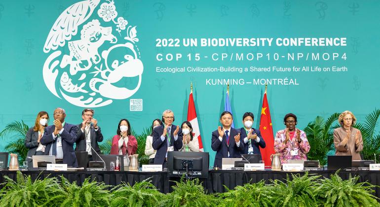 El "Marco Mundial para la Diversidad Biológica de Kunming-Montreal" incluye 4 objetivos y 23 metas para su consecución en 2030.