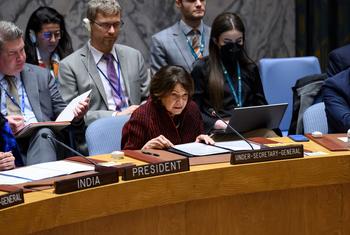 联合国副秘书长迪卡洛向安理会通报伊核协议及第2231号决议执行情况。