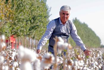 Хлопок в Центральной Азии возделывается с III-IV веков до нашей эры.