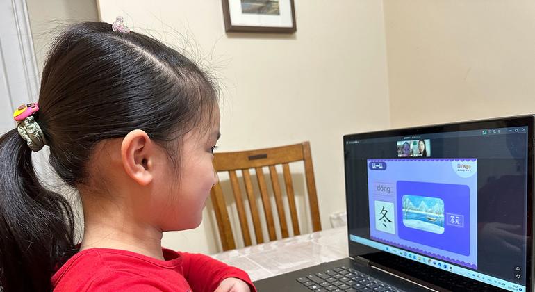 Em setembro, a Unesco deve divulgar recomendações sobre o processo de regulamentar a internet