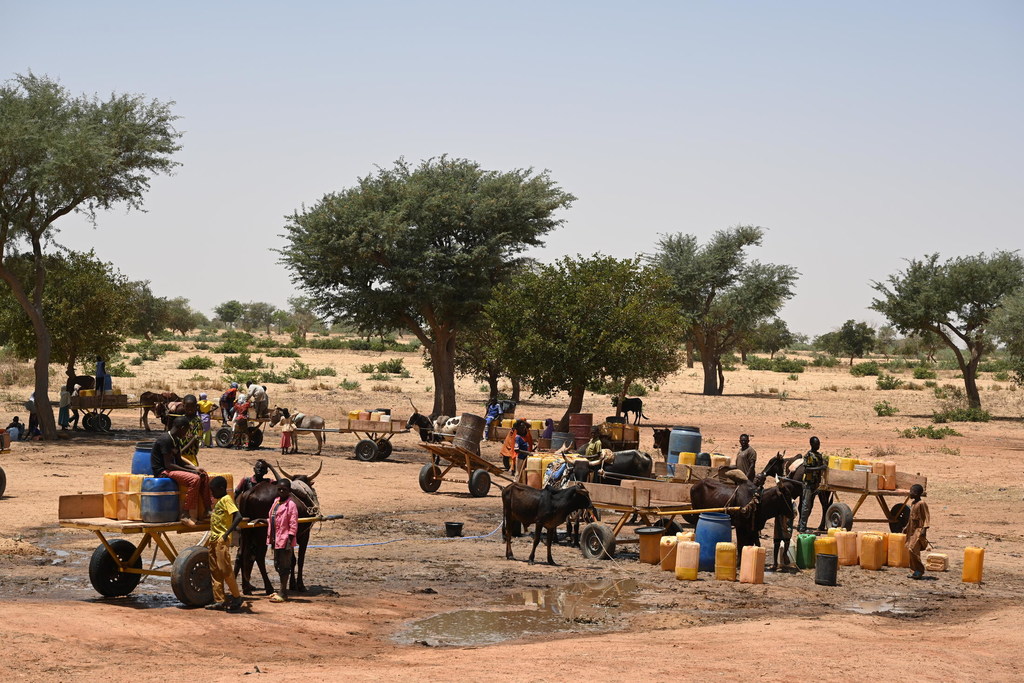 Des enfants et des femmes vont chercher de l'eau dans un village du sud du Niger.