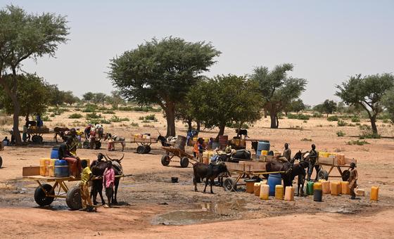 在尼日尔南部的一个村庄，儿童和妇女正在取水。