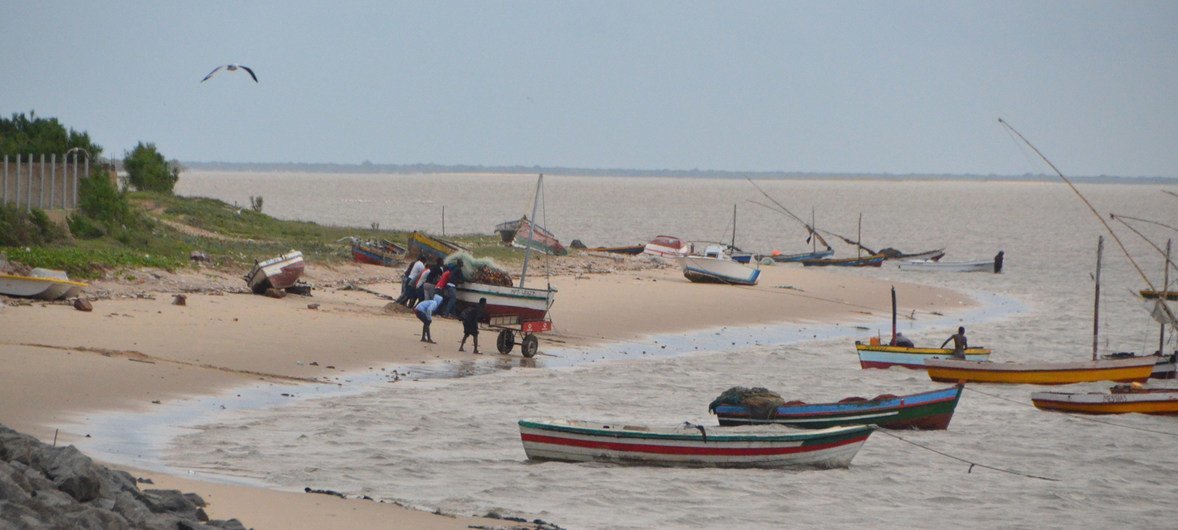 O Escritório da Organização Mundial da Saúde em Moçambique afirma que refletir sobre a doença é também uma das formas de transmitir informações que ajudem a melhorar os índices da situação atual no país.