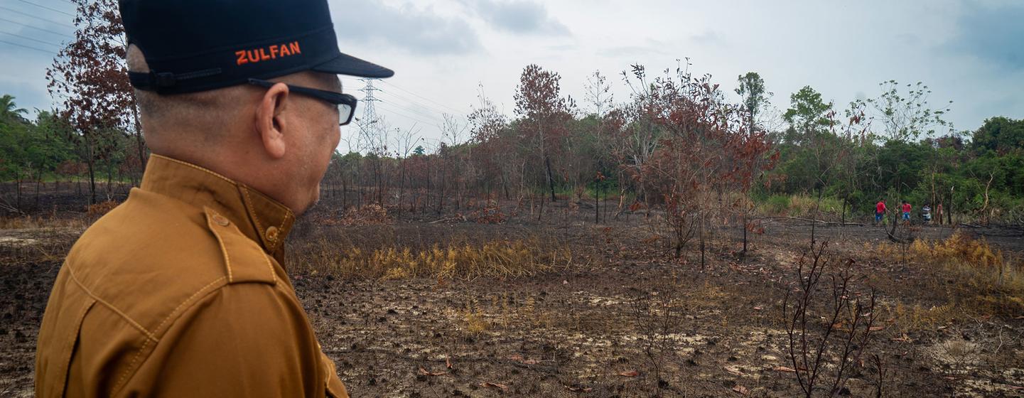 Fires in Giam Siak Kecil-Bukit Biosphere reserve, Riau, Indonesia.