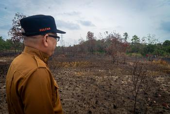 इंडोनेशिया के रियाउ में स्थित वन में आग लगने से हुआ नुक़सान.