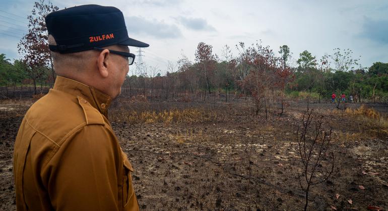 इंडोनेशिया के रियाउ में स्थित वन में आग लगने से हुआ नुक़सान.