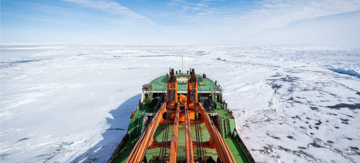 imagens da Expedição Internacional de Circunavegação Costeira Antártica