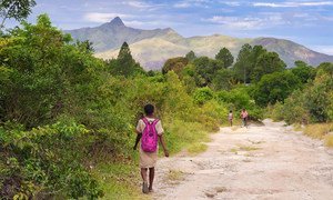 Forests support many local communities in Madagascar.