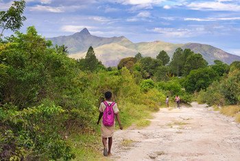 Los bosques sirven de sustento en muchas comunidades locales de Madagascar.