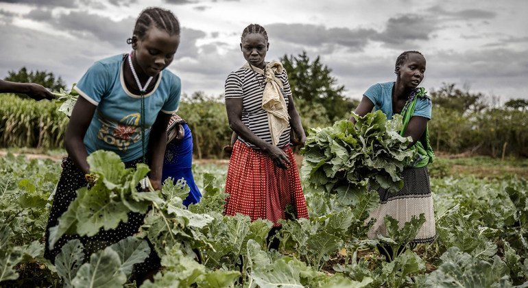 LDC5: BM konferansı, risk ve belirsizlik karşısında dirençli tarımsal gıda sistemleri inşa etmeyi tartışıyor

 Nguncel.com