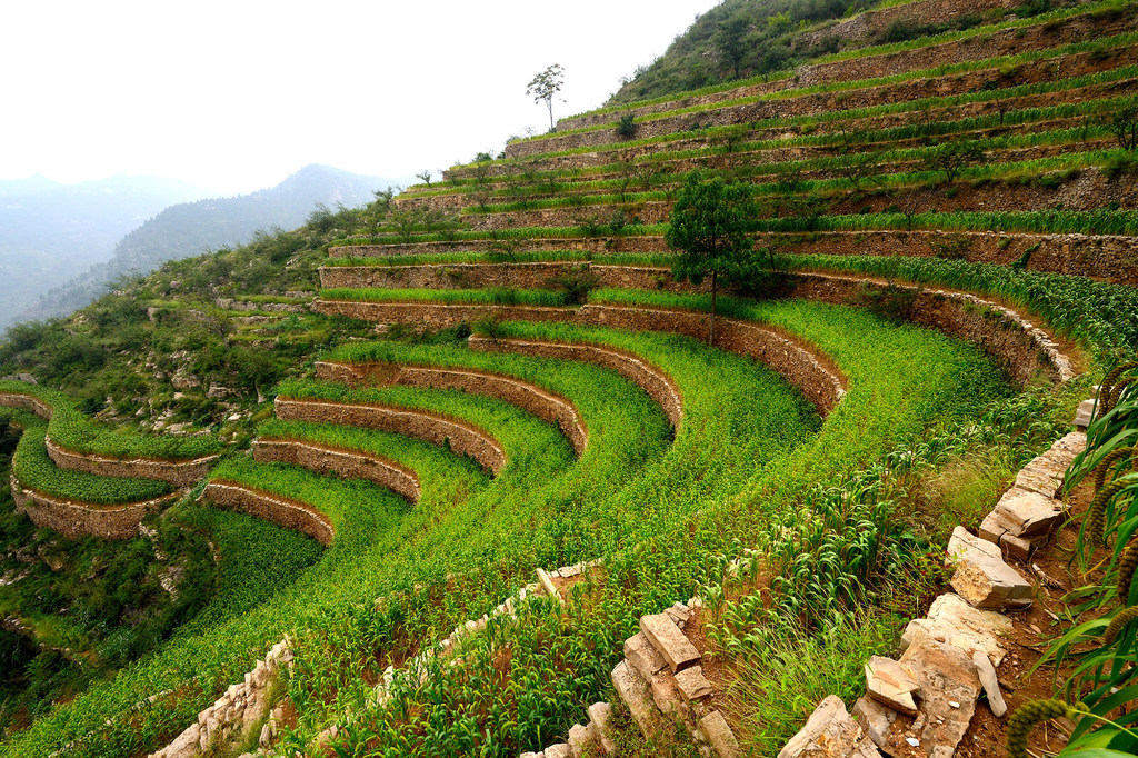 Las soluciones basadas en la naturaleza permiten una agricultura sostenible y acorde con el medio ambiente.El sistema de terrazas de piedra de las tierras áridas de Shexian es un sistema agrícola de secano que data del siglo XIII.