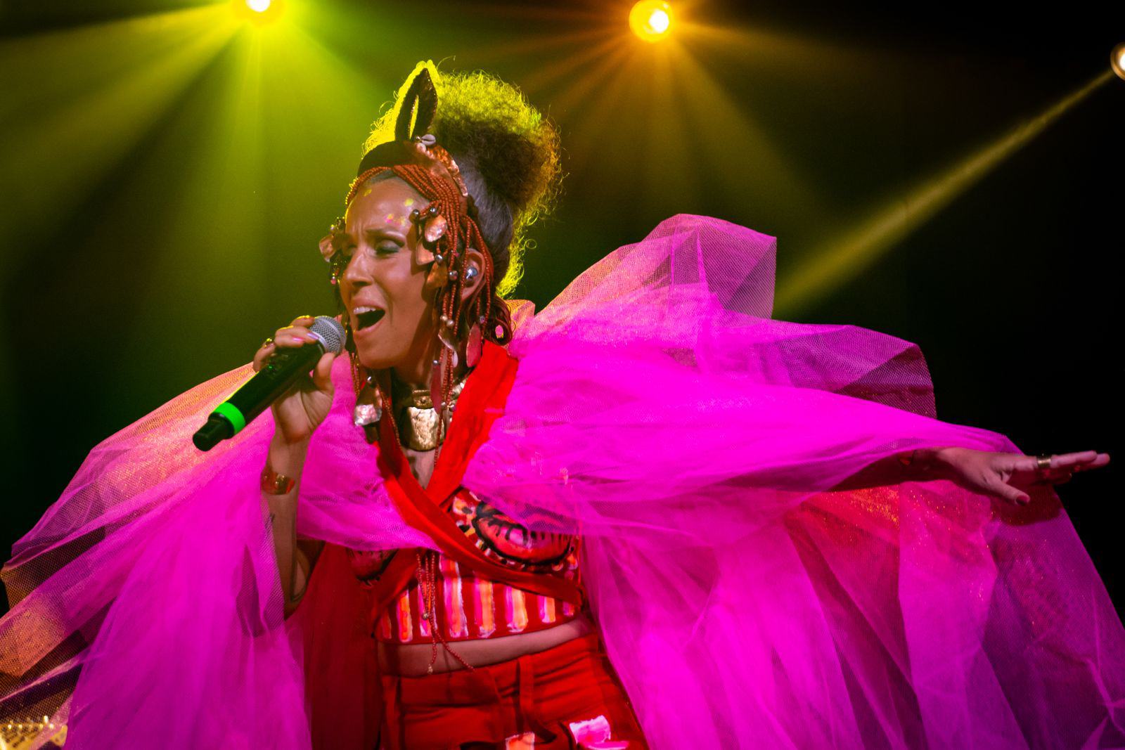 Podcast ONU News - Iara Rennó