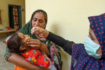 پاکستان کے شہر لاہور میں ایک چار سالہ بچی کو پولیو ویکسین کے قطرے پلائے جا رہے ہیں۔