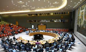 A wide view of the Security Council meeting earlier this month.