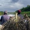 Dos hombres están sentados en una barca en un río de Amapá, Brasil, transportando fruta de açaí cosechada en la selva amazónica.