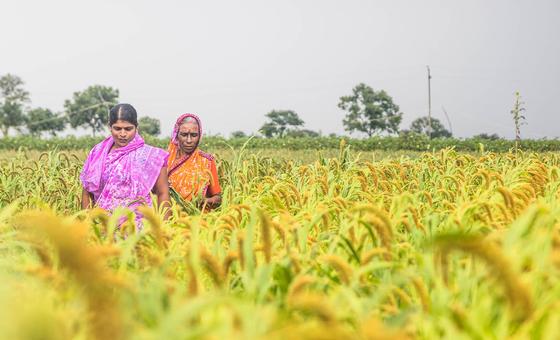 Imaginea știrii ONU