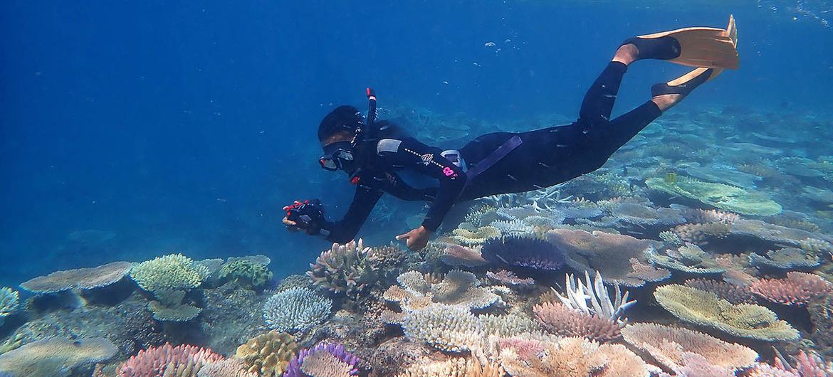 media:entermedia_image:7adeb738-bdbf-4cf1-8389-a65d298c9b07