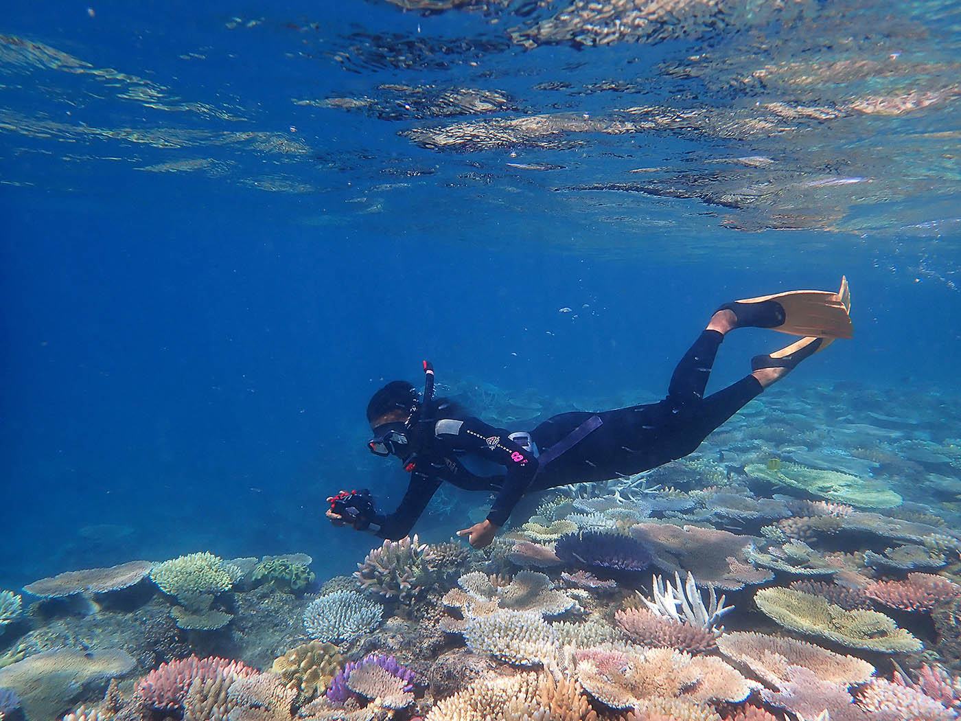 Sítios da Unesco freiam extinção em massa da vida selvagem