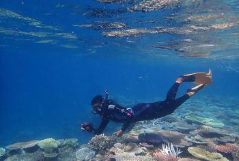 إحدى عضوات منظمة "نساء البحر" وهي منظمة تقودها نساء من السكان الأصليين في بابوا غينيا الجديدة تعمل على تمكين ريادة النساء المحليات في مجال الحفاظ على البيئة البحرية.
