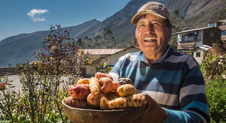 पेरु में पहला आधिकारिक कृषि-जैव विविधता क्षेत्र.
