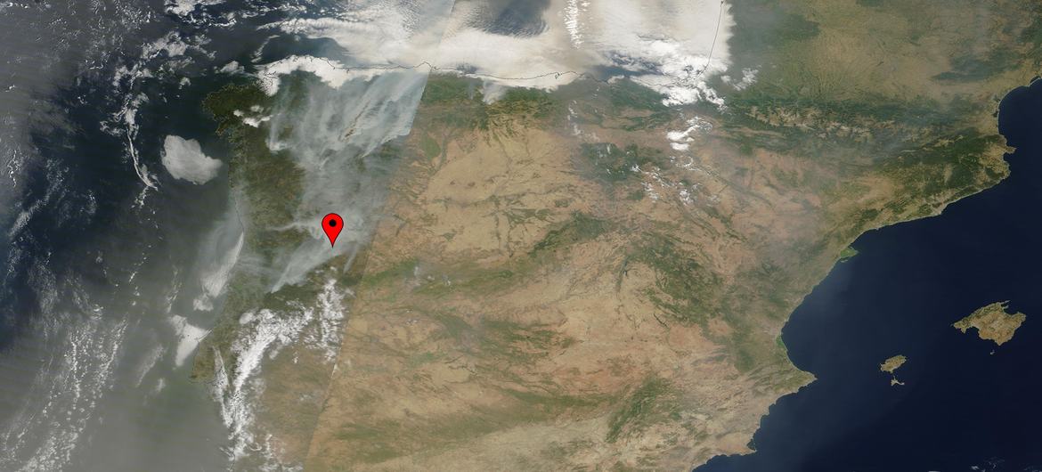Los incendios forestales en España y Portugal se intensificaron repentinamente a mediados de agosto de 2025, en medio de la última ola de calor que afectó a la región este verano.