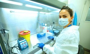 A research scientist in Georgia works on COVID-19-related experiments. WHO/Europe chief calls for more study of long COVID.
