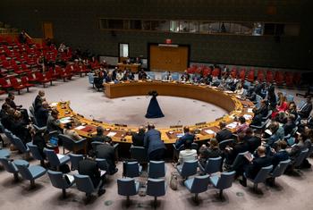 El Consejo de Seguridad durante una reunión acerca de la crisis en Oriente Medio.
