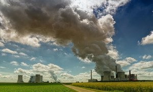 Carbon dioxide levels continue at record levels, despite the economic slowdown caused by the COVID-19 pandemic.